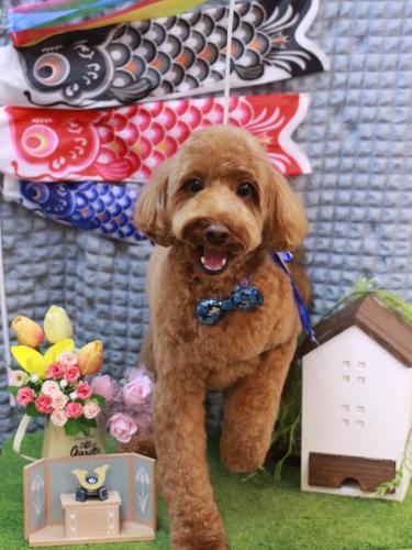 20230507テディくん